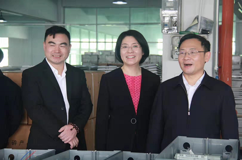 Linhong, Secretary of Xianju county Party committee inspected the company